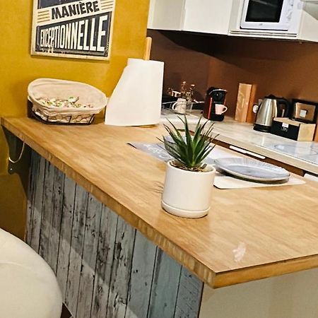 Apartament Tres Beau Studio Proche De Disneyland Et De Paris Ozoir-la-Ferrière Zewnętrze zdjęcie